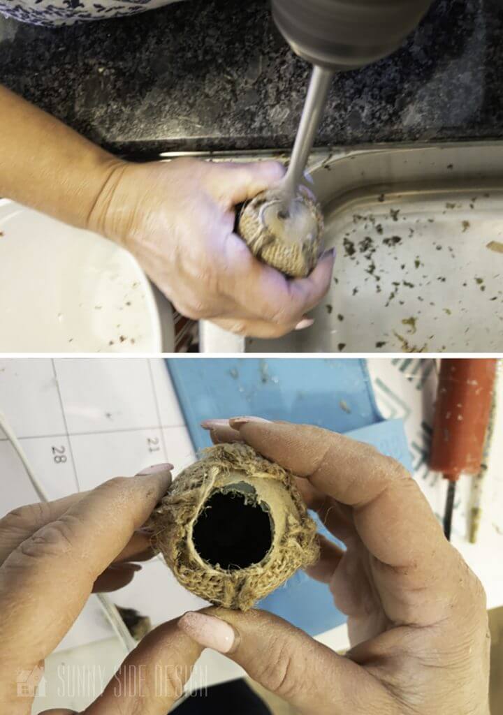 hole in egg for acorn