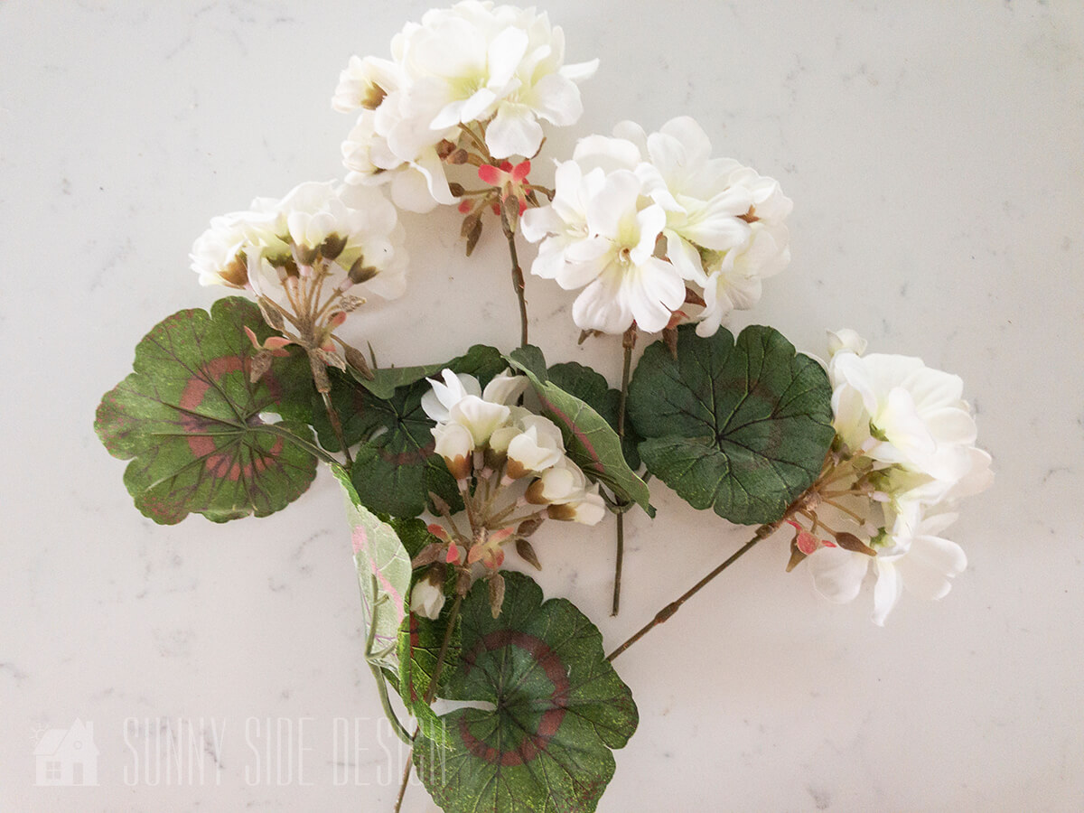 White geraniums for front door wreath.