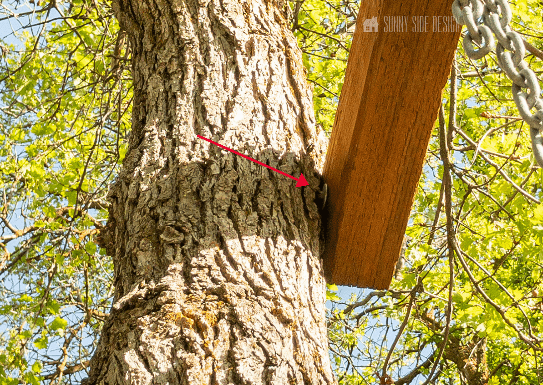 How To Hang A Tree Swing Without A Branch Sunny Side Design