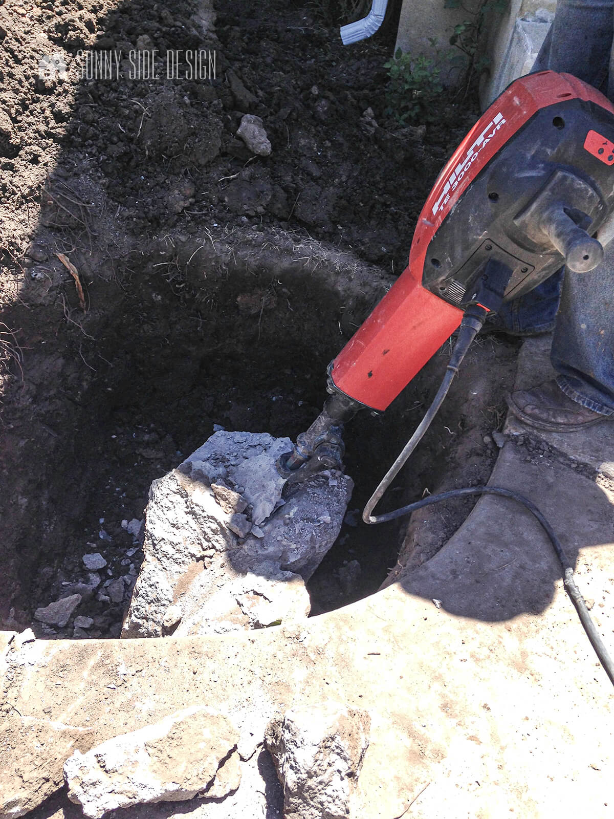 The Essential Steps to Landscaping a Front Yard You'll Love | Sunnyside ...