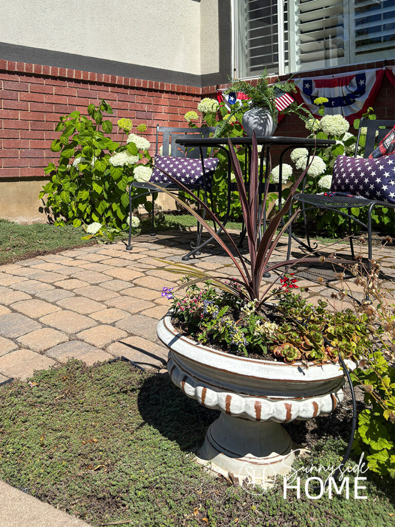 Front yard paver patio with a woolly thyme ground cover and white Annabella hydrangeas. Bistro set with blue star pillows and a flower pot.