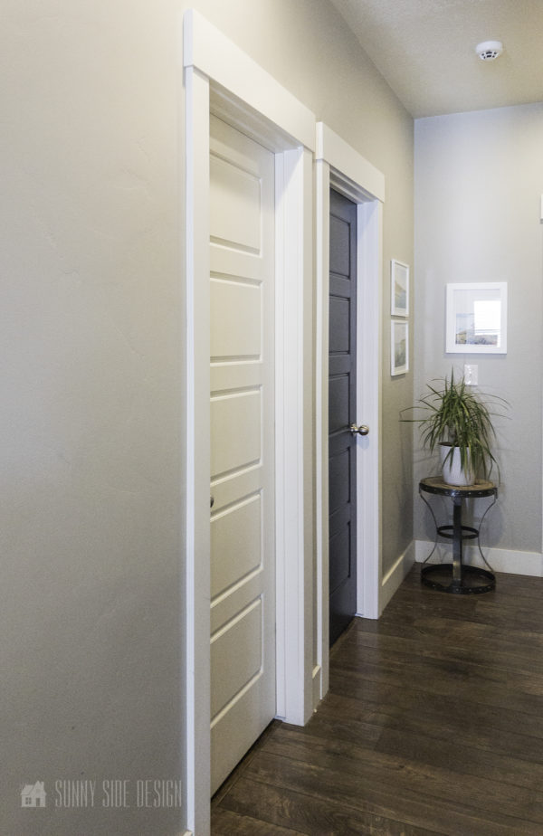 Wagner Paint Sprayer Paint Interior Doors Quickly with Professional