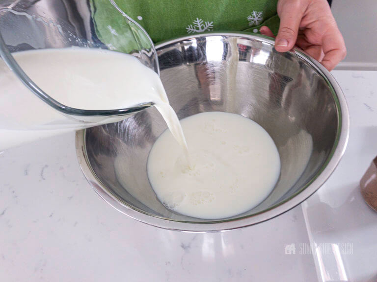 How To Make Eggnog without Eggs | Homemade Eggnog Recipe | Sunnyside Home