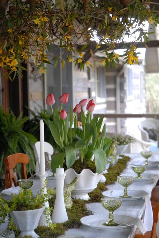 Spring Table Decor in a sunroom with fresh tulips, moss and forsythea.