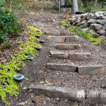Easy DIY Outdoor Stone Steps for Your Yard You’ll Love