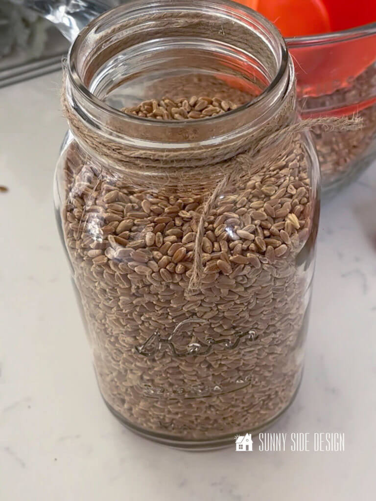 Wheat berries in a quart canning jar with a jute string tied around the top of the jar.