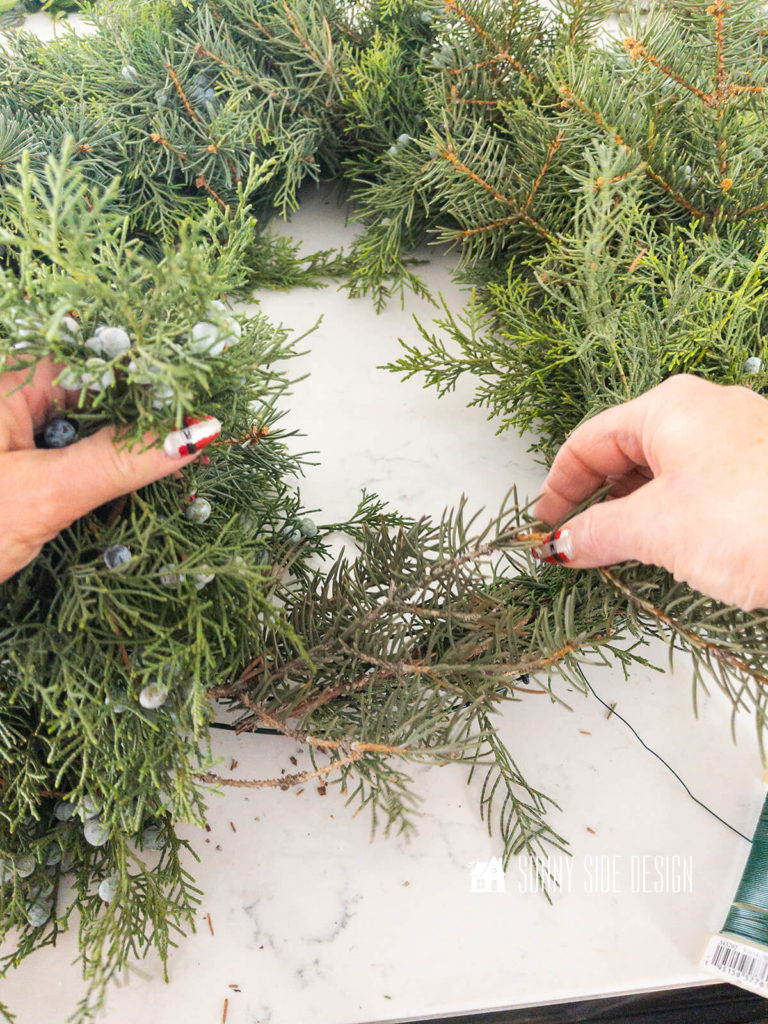 Fresh evergreens are secured to a wire wreath form with green paddle wire.