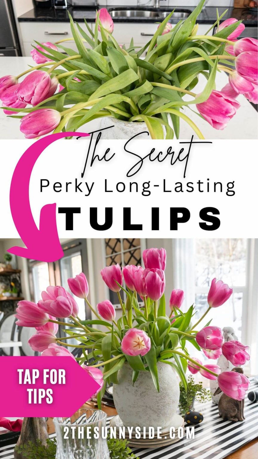 How to Make Tulips Last Longer in a Vase Sunny Side Design