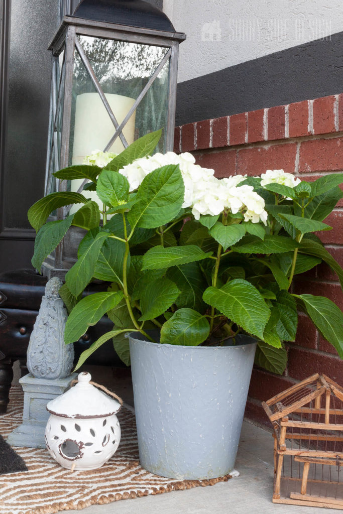 Add texture and color to a porch with beautiful potted plants, lanterns and birdhouses.