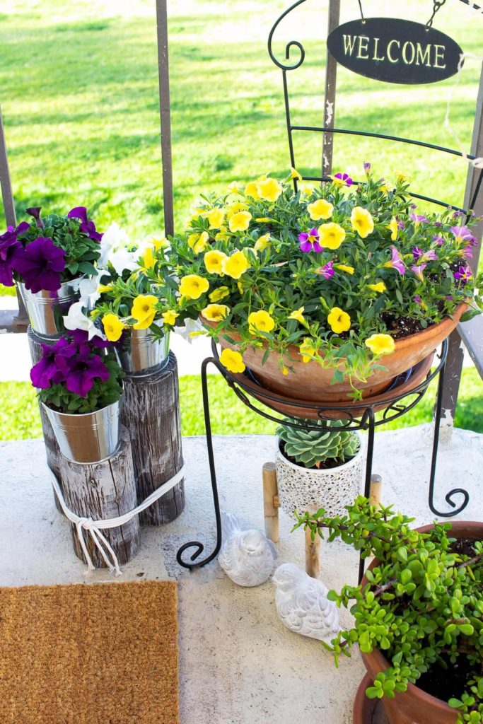Bring in color to your small front porch with a variety of colorful potted flowers.