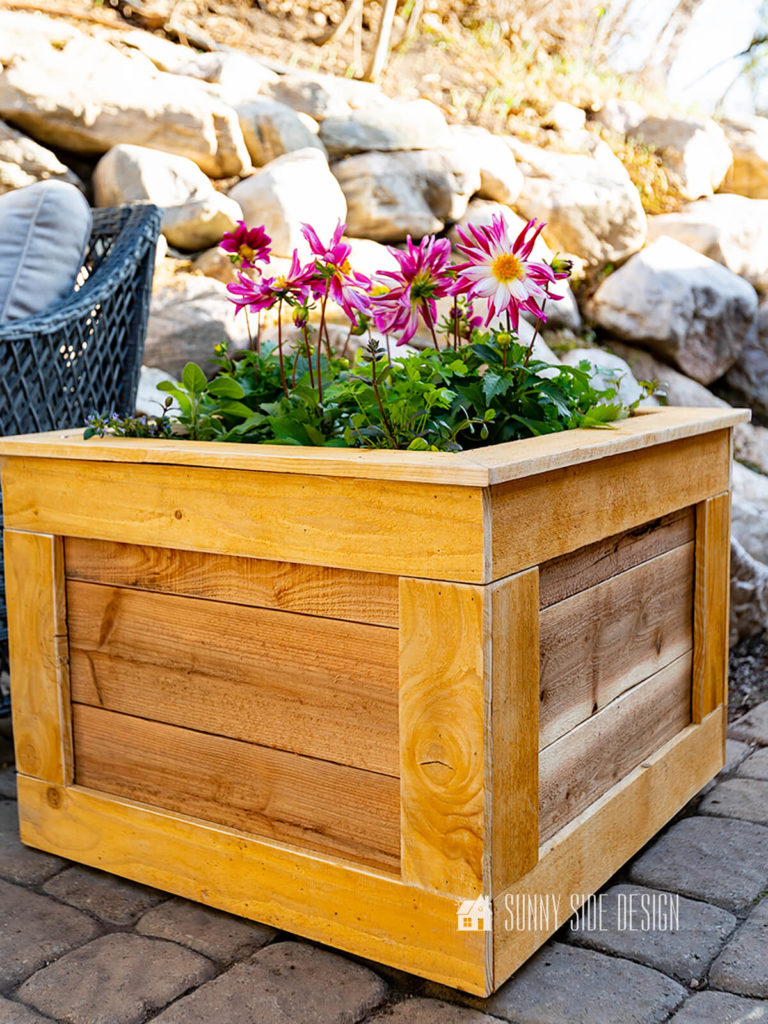 Mobile Cedar Planter Box on wheels on patio, planted with magenta dahlias, and herbs.