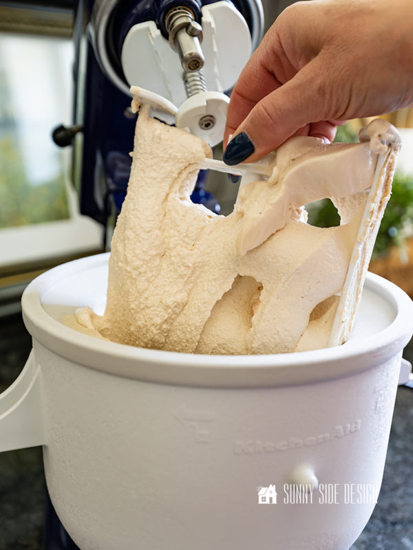 How to Make an Easy Homemade Ice Cream Without Eggs Sunny Side Design