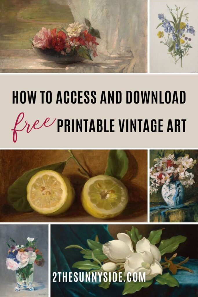 Pinterest image collage of vintage free printable wall art. Various images of flowers and still life.