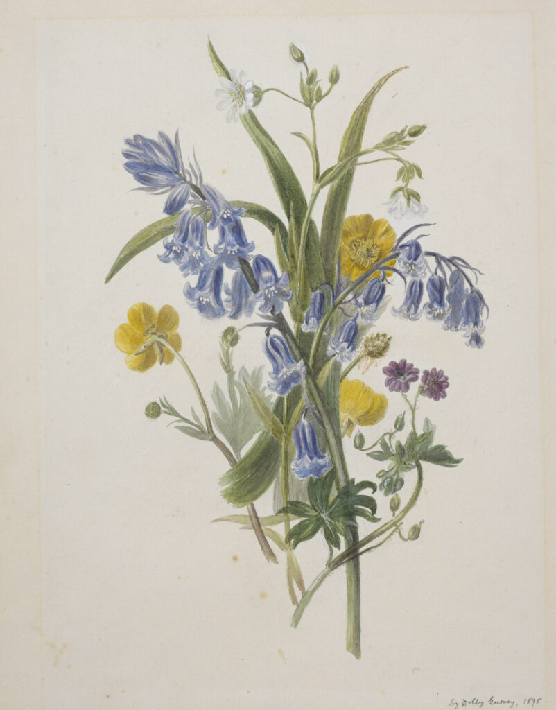 Vintage image of wild flowers.