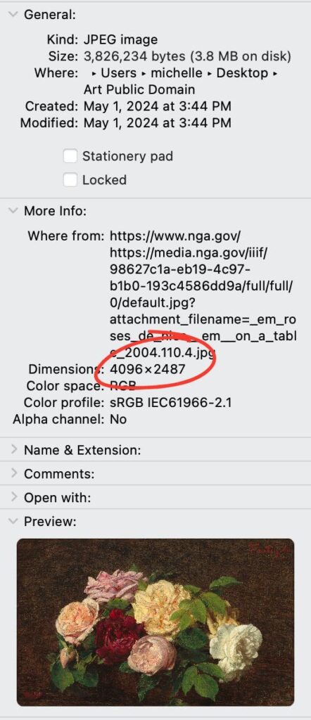 Pixel dimension and meta date for download digital image