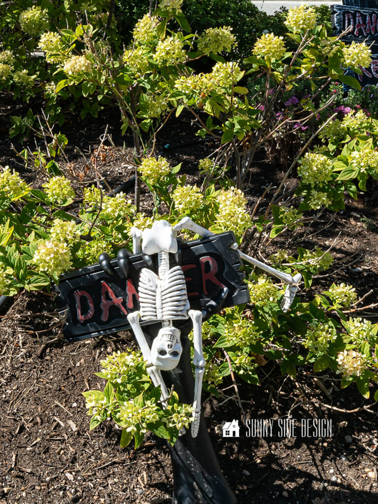 Outdoor Halloween decorating Ideas: small skeleton is draped over a spooky beware sign in the flower garden.