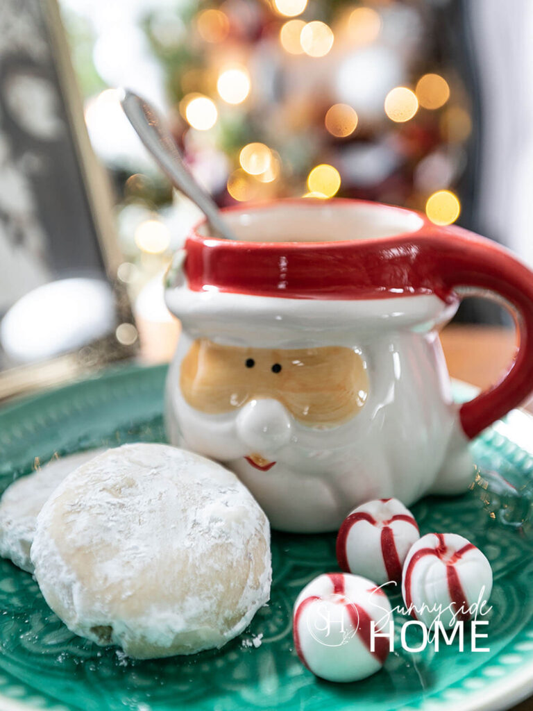 Prepare for Christmas early, cookies and hot cocoa in a Santa mug. Cookies are easy to prepare early and freeze until Christmas.