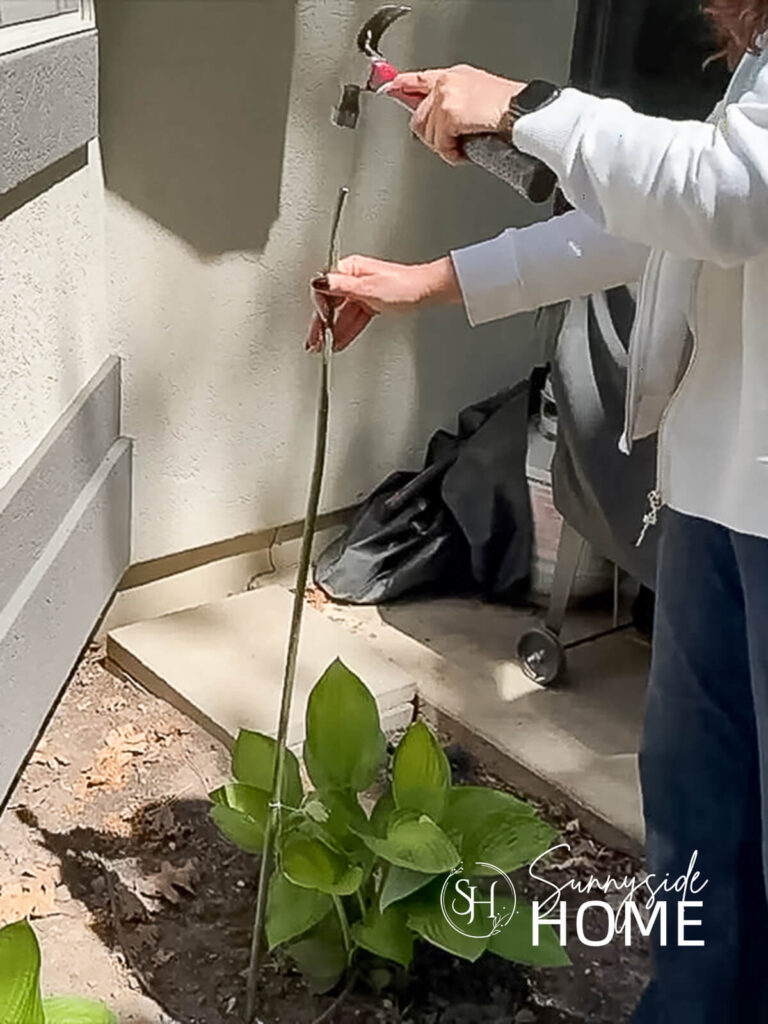 Woman hammers a garden stake into the flower garden bed.