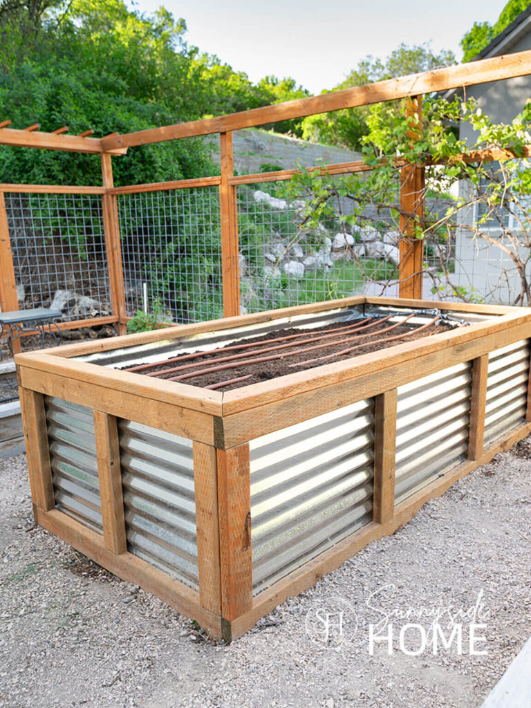 A wood and galvanized metal garden box in an enclosed garden area with a grape vine on the trellis.