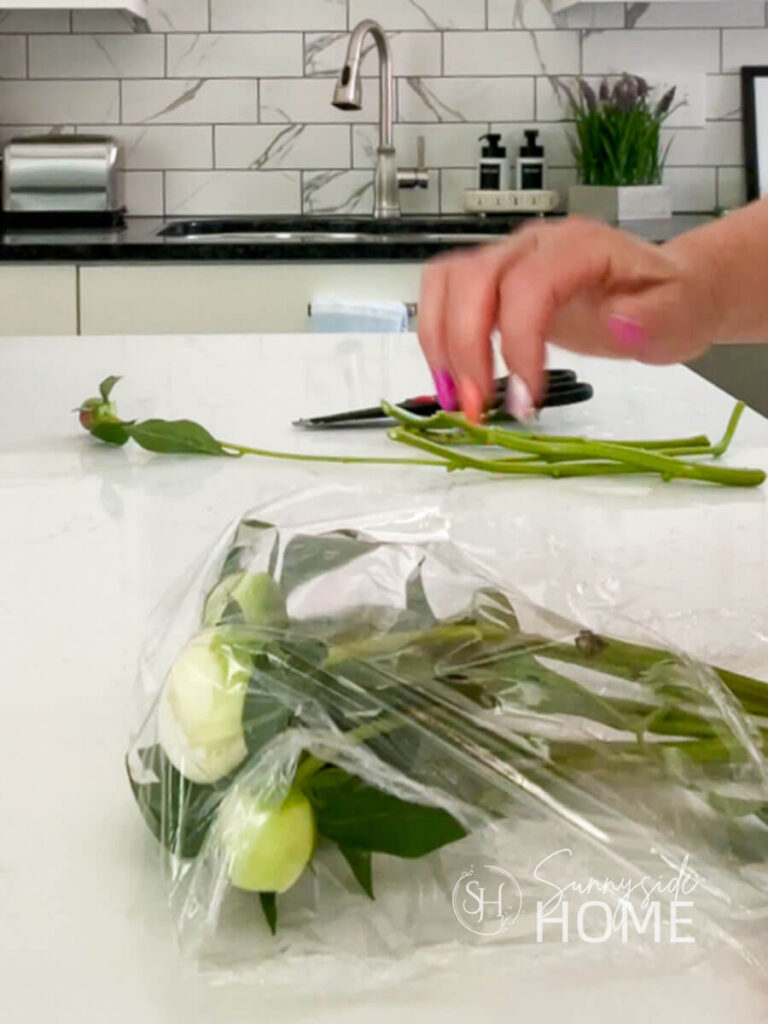 Woman wraps peony buds in plastic wrap to preserve them for a couple of months.