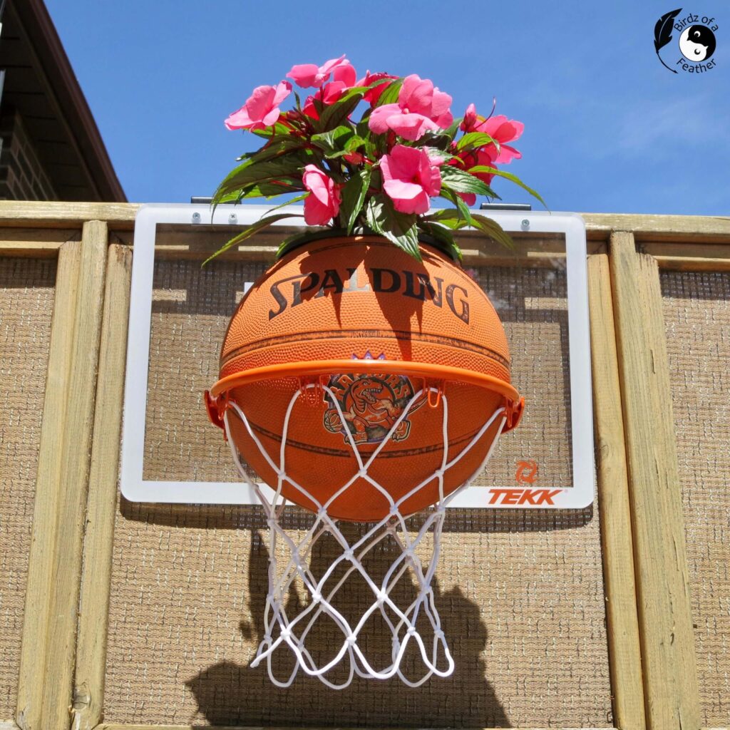 An old basketball is turned into a simple planter and styled with pink flowers.