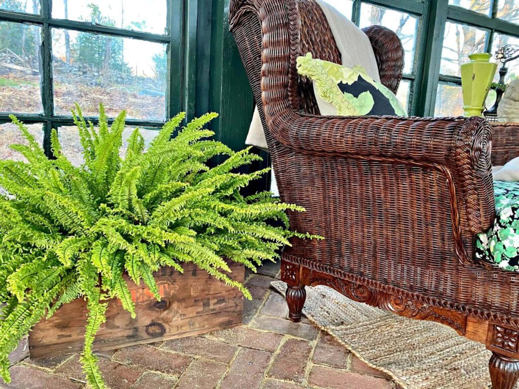 An old wood crate is a planter for a large fern, styled with a wicker chair on a brick patio.