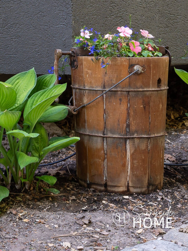 An old crank ice cream maker is turned into a planter container and filled with impatience in the backyard garden.