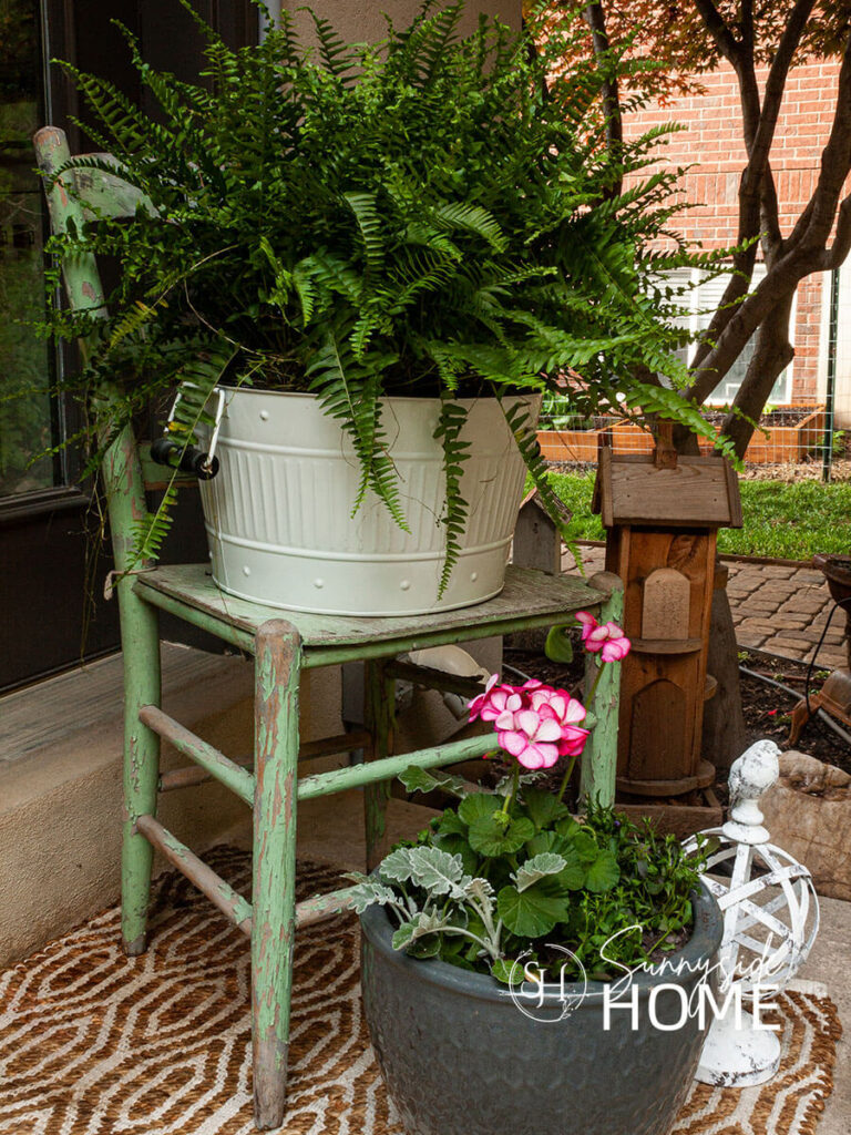 An old enamel tub placed on a chippy green chair and filled with a Boston fern.