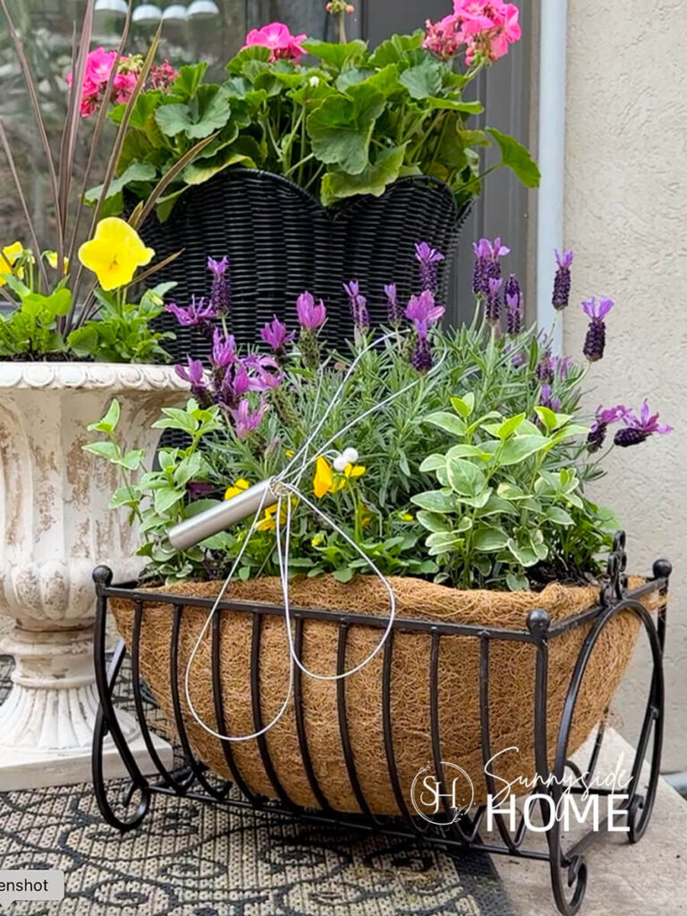 A thrifted iron magazine rack is transformed into a planter container with a coir liner and assorted flowers, styled with other potted plants and a dragonflye made from a whisk.