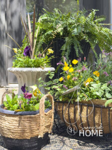 A grouping of potted planted on a backyard porch. Creative planter container ideas with an iron magazine rack, basket and other thrifted posts.