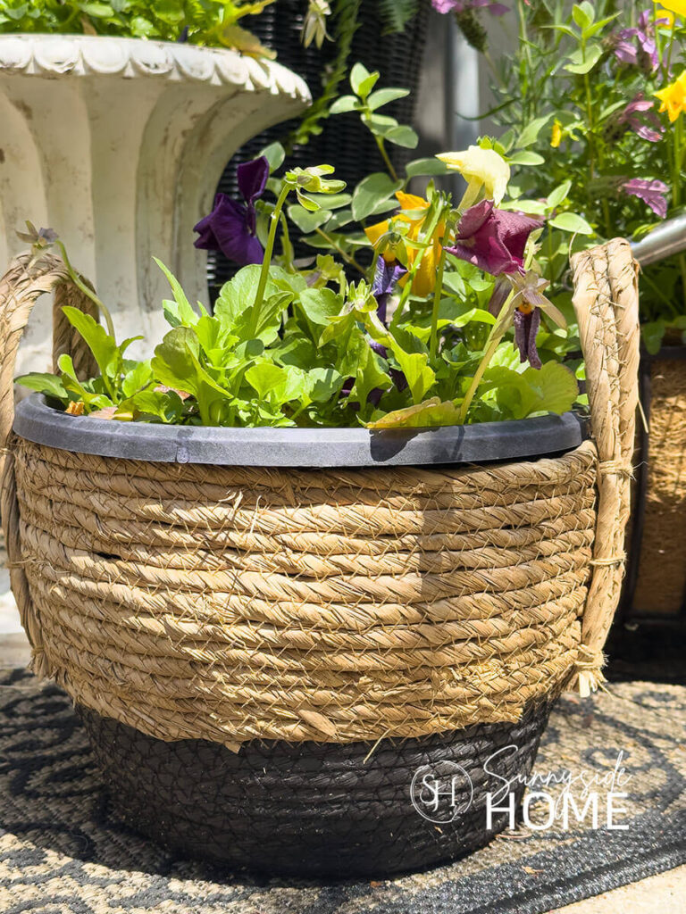 A thrifted basket has become a planter container for pansies on a backyard porch.