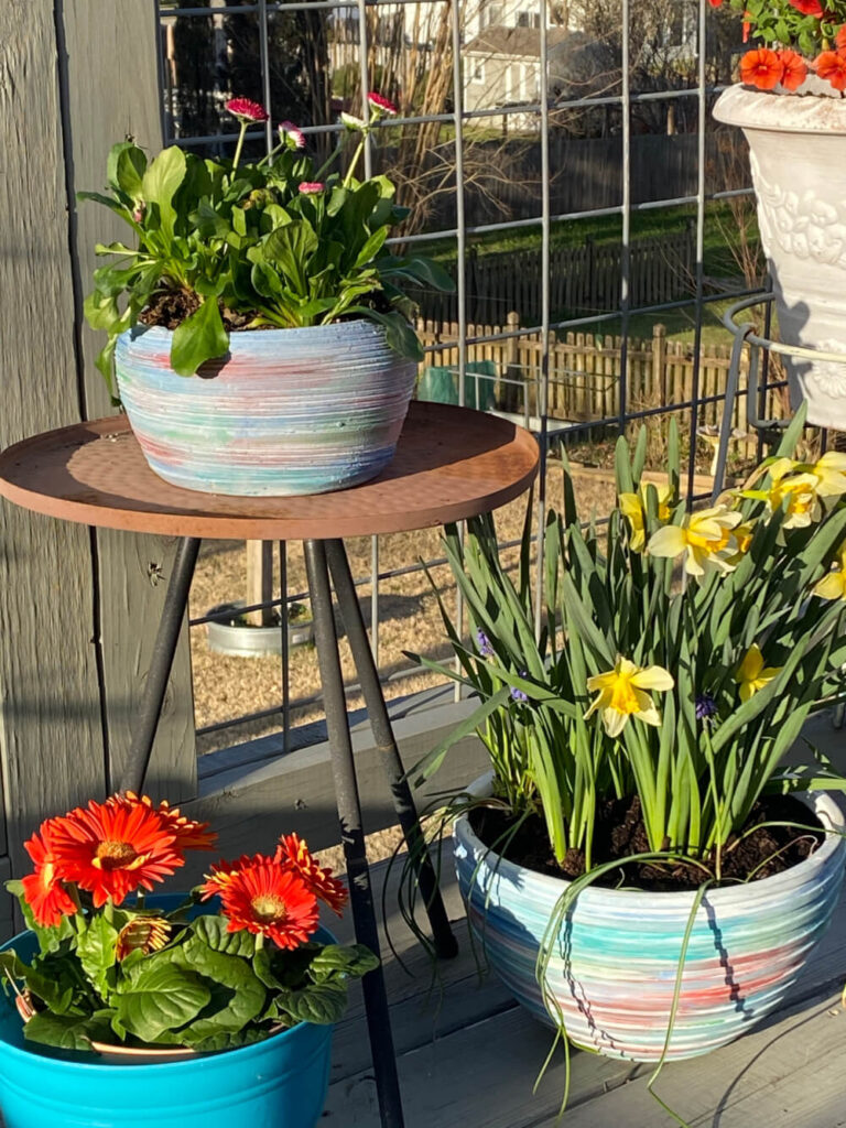 Thrift store planters are given new life with rainbow shades of paint and styled with flowers.