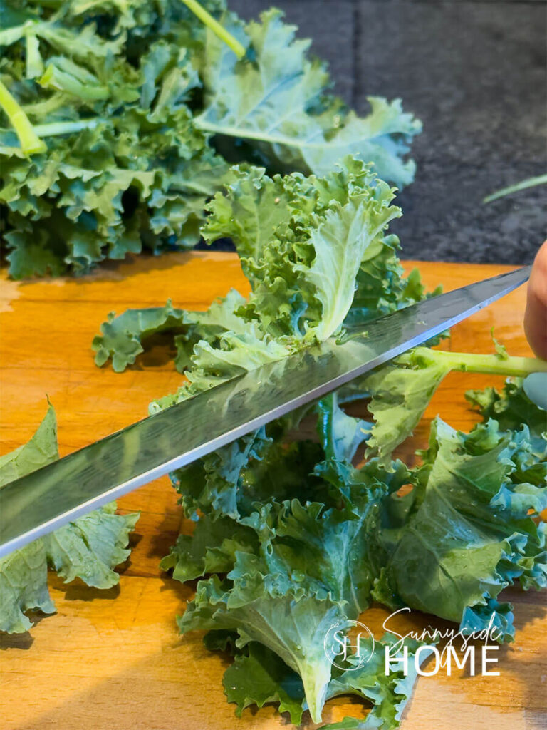 Fresh garden kale is stripped off of the stem with a sharp knife.