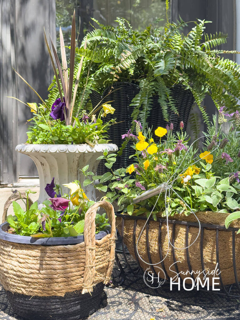 Affordable planters from thrift store finds, upcycling an iron magazine rack with a coir liner filled with trailing plants and pansies.