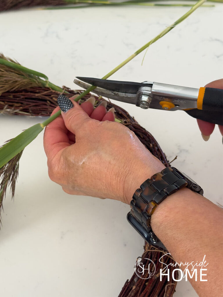 Woman trims the stem of pampas grass with pruners.
