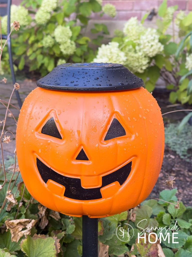 A pumpkin solar light is placed in the garden.
