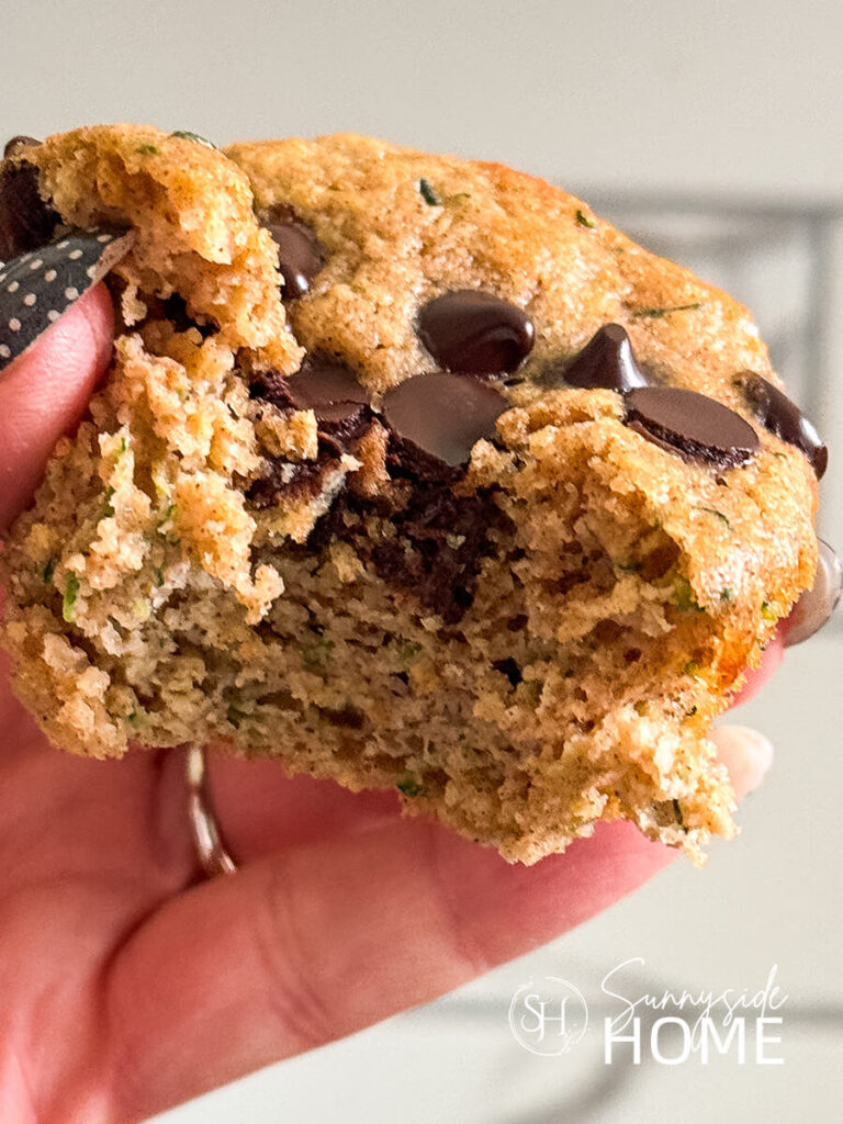 Woman holds a moist protein zucchini muffin with chocolate chips.