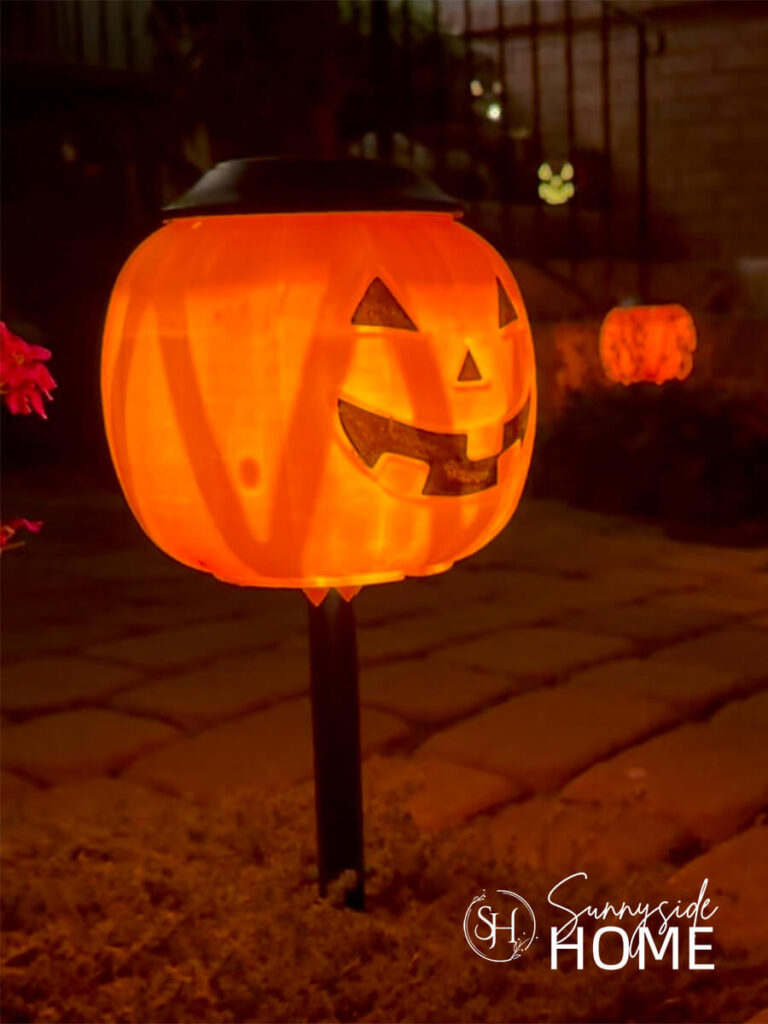 In the evening glowing pumpkin solar lights in a front yard walkway.