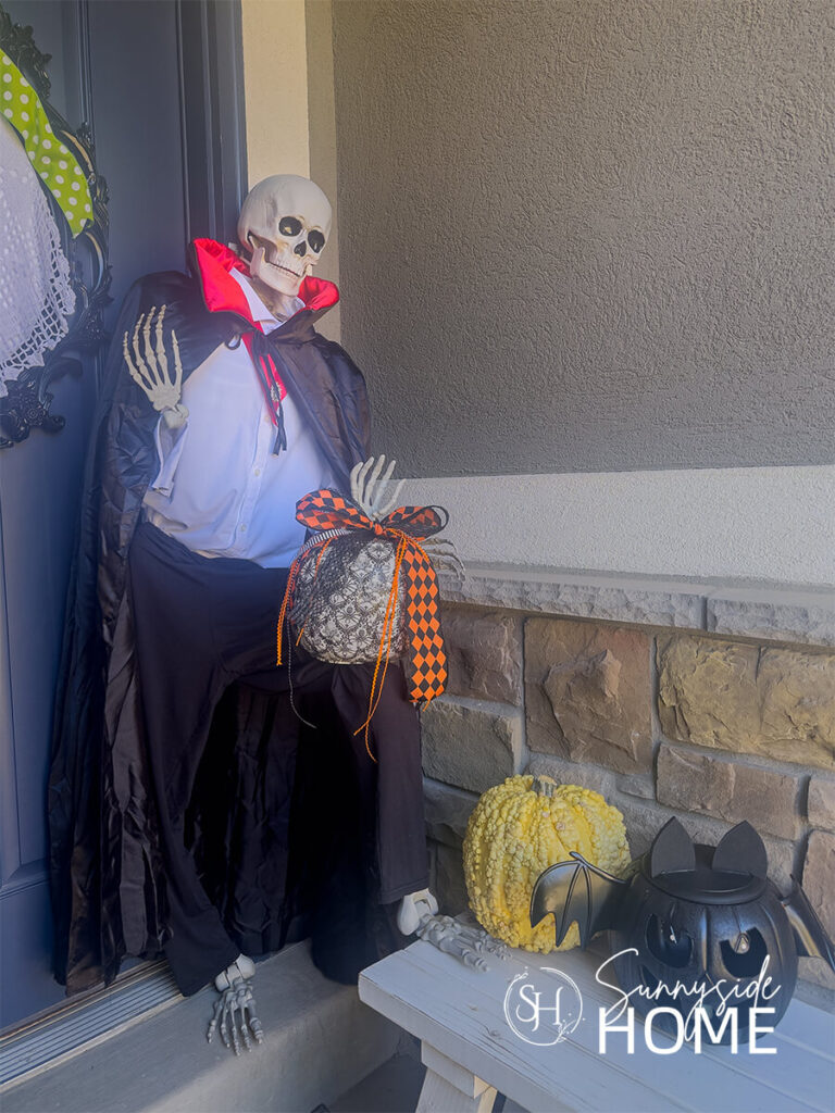 A skeleton is dressed for Halloween as Count Dracula with black pants, white shirt an red satin lined black cape. Styled with a variety of pumpkins.